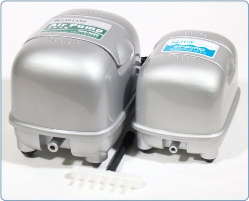 Jun Super Silent Metal Air Pump 30 Litres Min For Aquariums And Hydroponics Buy Online In Botswana Esoteric Hydroponics Products In Botswana See Prices Reviews And Free Delivery Over P700 Desertcart