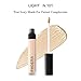 PHOERA Makeup Concealer Liquid Moisturizer Conceal HD High Definition Foundation (A)