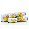 VacMaster-Full-Mesh-Suction-Sealer-6-Inch-by-10-Inch-Pint-Bags-50-Per-Box