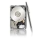 Seagate 1TB Constellation SATA 6Gb/s 64MB Cache 2.5-Inch Internal Bare Drive (ST91000640NS)