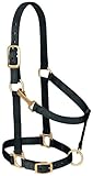 Weaver Leather Basic Adjustable Halter