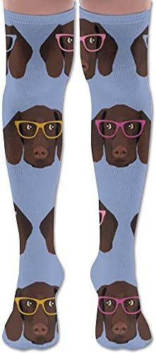 German Shorthaired Pointer In Glasses Over Knee High Boots Long Socks For Women &amp; Girls