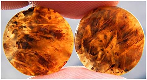 RASIYO Stick Agate Cabochon Pair, Stick Agate Gemstone 18Ct Round Shape Natural Stick Agate 17x17x3mm K-6375