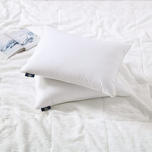 Serta HeiQ Cooling SoftyAround Feather and Down Pillow2 Pack, King (U