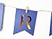 1st Birthday Boy Prince Party Supplies Navy Gold Birthday Party Decorations Blue Happy Birthday Banner Paper Star Garland Paper Flowers Tissue Paper Pom Poms Paper Lanterns for Boy First 1st Birthday