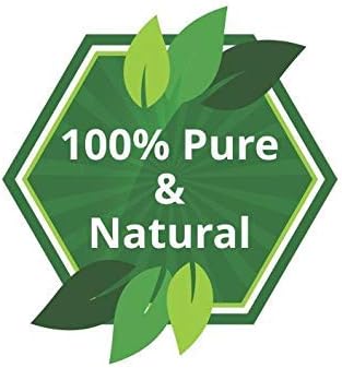 Salvia Hibiscus (Hibiscus Sabdariffa L) 100% Natural Pure Undiluted Uncut Carrier Oil (30ml), Magenta, 30 ml (Pack of 1) - Image 4