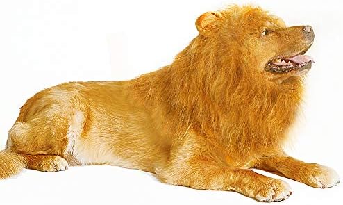 instecho Dog Training Collar, 100% Rainproof Rechargeable Electronic Remote Dog Shock Collar 330 Yards with Beep/Vibrating/Shock Electric E-Collar