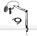 Audio-Technica AT2035 Cardioid Studio Condenser Microphone with Knox Gear Pop Filter & Boom Arm