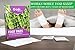 Pack of 20 Bamboo Foot Patches | Bamboo Vinegar Foot Pads | All Natural & Premium Ingredients for Relief & Results | Apply, Sleep & Feel Better | No Stress Packaging | Improve Your Sleep Overnight