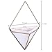Modern 11-Inch Triangular White Ceramic Hanging Wall Planters with Metal Frames, Set of 2thumb 4