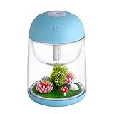 Multi-diffuser diffuser difussers Humidifier