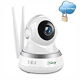 Security Camera WIFI IP Camera Wireless Home Surveillance Camera WiFi Dog/Baby Monitor with Cloud Storage Live Steam Night Vision Pan/Tilt Two way Audio 1+3Meter Power Cable Extension Cable Nettoly