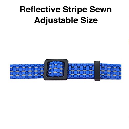 Pawtitas Reflective Cat Collar with Safety Buckle and Removable Bell Cat Collar Kitten Collar Blue Cat Collar