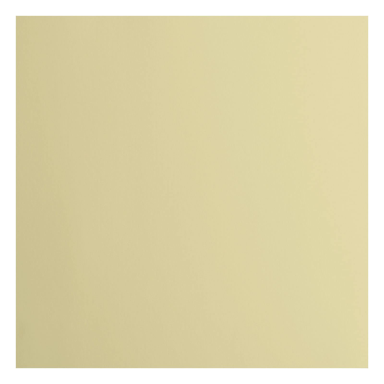 Florence Cardstock Smooth - Coloured Card Making Supplies 12 x 12 inch - Beige - 20 Sheets - Coloured Paper for Scrapbooking, Card Making, Die Cutting and Paper Crafts - 216 GSM - Pudding