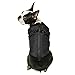 Gooby Fashion Vest Dog Jacket - Black, X-Large - Warm Zip Up Bomber Vest with Dual D Ring Leash - Winter Water Resistant Small Dog Sweater