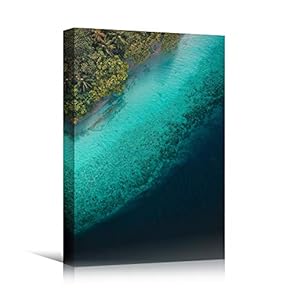 signwin Canvas Wall Art Coastal Aerial View Beach...