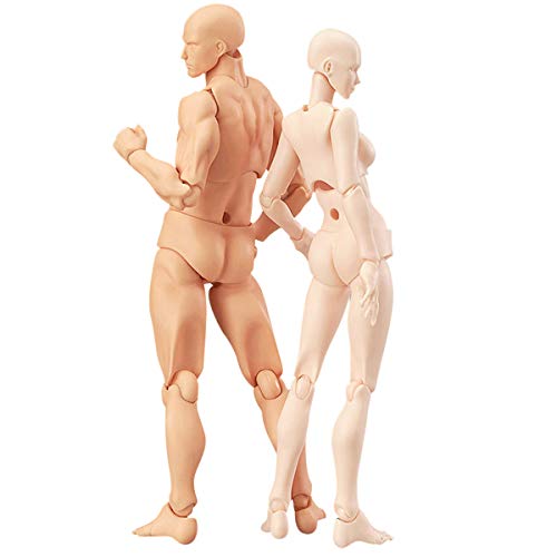 Nmch Artists Manikin Drawing Figures for Figure Model Male+Female Body Kun Doll DX Set with Accessories Kit,Suitable for Sketching, Painting, Drawing, Artist. (Male+Female Skin)