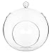 7-Inch Large Clear Glass Hanging Air Plant Terrarium Ball/Votive Candle Holder w/Flat Base & Loop Hook