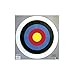 Champion Traps and Targets 24-Inch Bullseye Archery Target