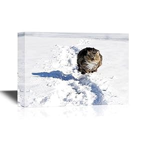 Wild Animal Canvas Wall Art - A Norwegian Forest Cat Runs Quickly Through The Snow - Gallery Wrap Modern Home Art | Ready to Hang - 12x18 inches