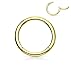 Forbidden Body Jewelry 316L Surgical Steel Hinged Seamless Nose Rings Hoop 18 gauge (18G), Diameter 8mm, Gold Tone.