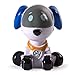 Paw Patrol Mini Figures, Robodog