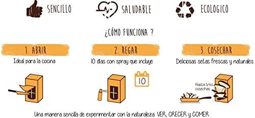 SETAS POCKET - Kit de SETAS AUTOCULTIVO - Cultivar setas en casa ...