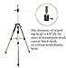 GEX Heavy Duty Canvas Block Head Tripod Cosmetology Training Doll Head Stand Mannequin Manikin Head Tripod Wig Stand With Travel Bag (Gold (Version 1.0))