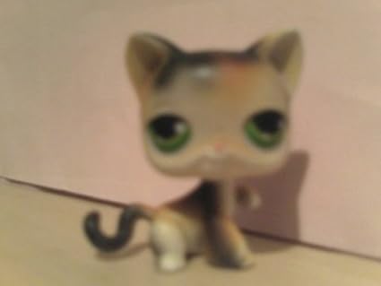 lps calico cat