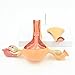 KISSTAKER 2 Part PVC Uterus Ovary Anatomical Model Anatomy Cross-Section Teaching with Base