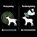 Homitem Ultrasonic Outdoor Bark Controller Anti-Barking Devices Sonic Bark Deterrent, No Harm to Dogs or Other Pets,Plant,Human,Easy Hanging/Mounting,3 Modes,Birdhouse Shaped(Black)
