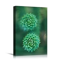 Canvas Wall Art Green Succulent Close Ups Bedroom Close Up Colorful Floral Multicolor Petal Photography Romantics - 12x18 inches
