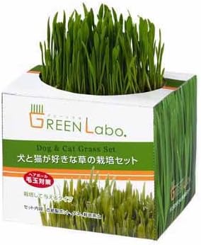 Amazon Co Jp 犬と猫が好きな草 栽培セット ペット用品