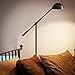 Brightech Gabriel - LED Reading and Craft Floor Lamp, for Living Rooms, Bedrooms & Offices – Modern Standing Task Light - Adjustable Arm, Omnidirectional Head - Industrial Black Pole