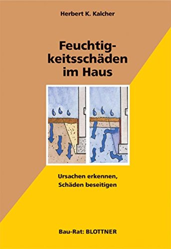 Feuchtigkeitsschaden Im Haus Ursachen Erkennen Schaden