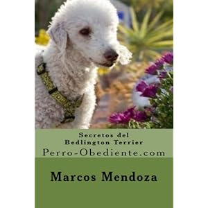Secretos del Bedlington Terrier: Perro-Obediente.com (Catalan Edition)