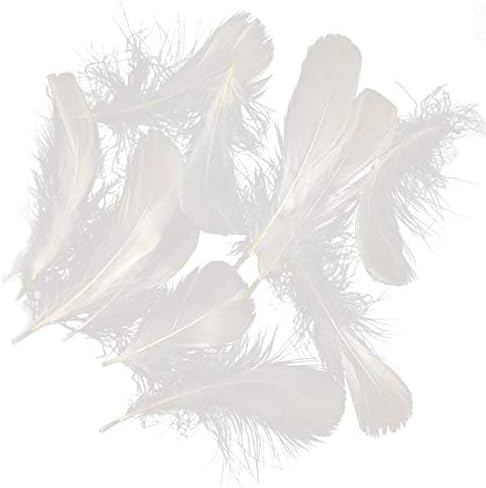 500pcs Natural Goose Feathers Plume Wedding Centerpieces Home Decoration, BZCTAH Decoration Feather for Hollowen Masquerade, White#3