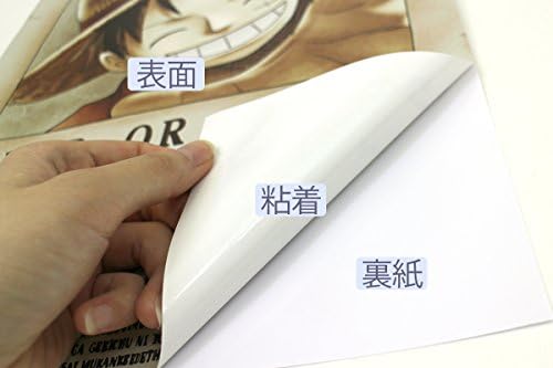 One Piece ワンピース 壁紙 42cm 29 7cm A3サイズ 手配書ルフィ 5億ベリー B01hlt1poc 1 415円