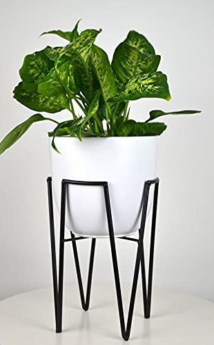 Iron Wall Planter Pot for Indoor Plant with Holder -Wall Mounted Planters with Stand Plant Containers Balcony Decoration Garden D?corCP112