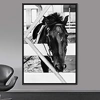 Framed Canvas Wall Art High Contrast Horse Animals Black and White Duotone Expressive Grey Horse Living Room Photography Rustic - 16x24 inches
