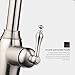 pH7174; WE7003 1-hole Brass 360 degree Pull-down Kitchen Sink Faucet with Magnetic Sprayer; 1- handle Kitchen Faucet; Excellent Finish, Nylon Hose, and Docking System, Brushed Nickel