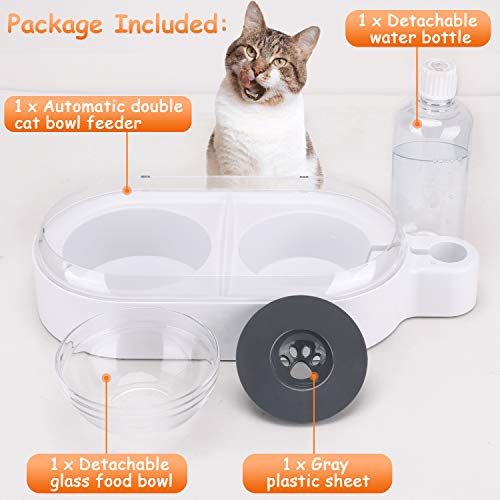 Pets Water and Food Bowl Set for Cat & Dog,Small Double Bowl Feeder with Automatic Water Dispenser,Self Cat Feeder Bowl Glass
