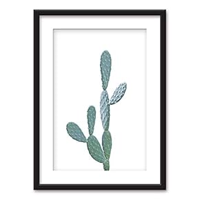 Framed Cactus on White Background Black Picture Frames White Matting