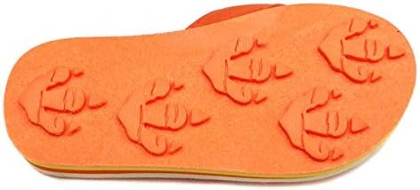 Animal Traks FLIP Flops Slippers- Dinosaur Print Sandals for Girls and Boys, Little Kids (Age 4 – 8).