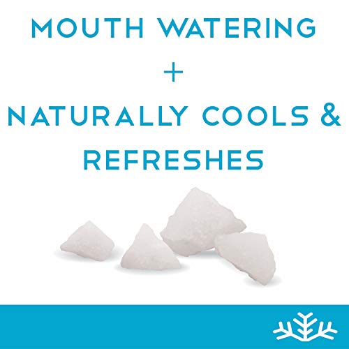 Peppermint KETO Xylitol Candy Chips SNØ 1LB Bag SugarFree Candy