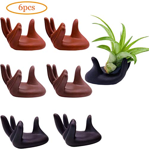 6 Pack Air Plant Stand Holder, Hand Shape Tillandsia Airplant Container Pot Tabletop Plant Display Hand Racks for Home Office Decoration Supplies(Red+Brown+Black)