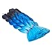 Hairingrid Jumbo Braid Hair Ombre Extension 24inch 6pcs/Lot 100g/pc Synthetic Hair Twist Braiding Hair Crochet Hair for African American Women (R76XM52#)