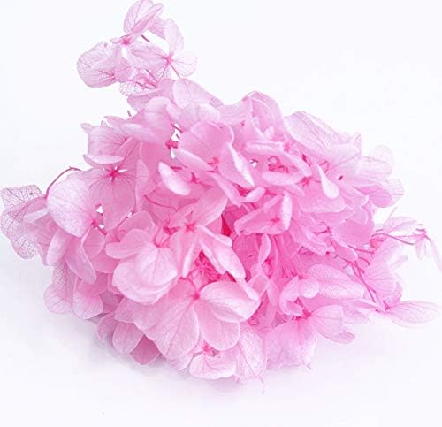 営業 そらプリ Hana Oil ハーバリウム プリザーブドフラワー ピンク 花材 アジサイ 小分け