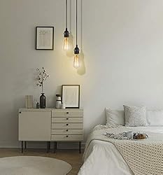 Hanging Lights with Plug in Cord, FadimiKoo Hanging