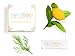Cocobaci Ayurvedic coconut oil pulling 15 packets - Lemon Sparkle - Natural Teeth Whitening, Organic Body detox - Healthy gums, essential oils - Detoxes body/kills bacteria/whitens teeth